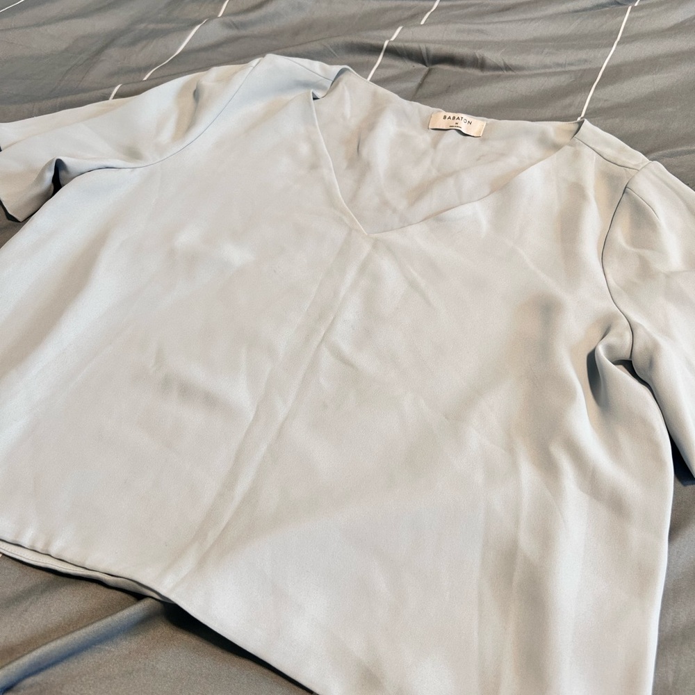 Aritzia Babaton Blouse